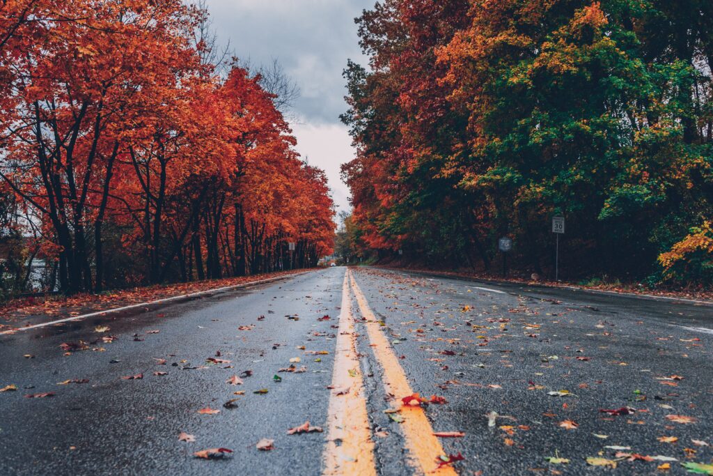 Best places for fall color photoshoots in North Cascades