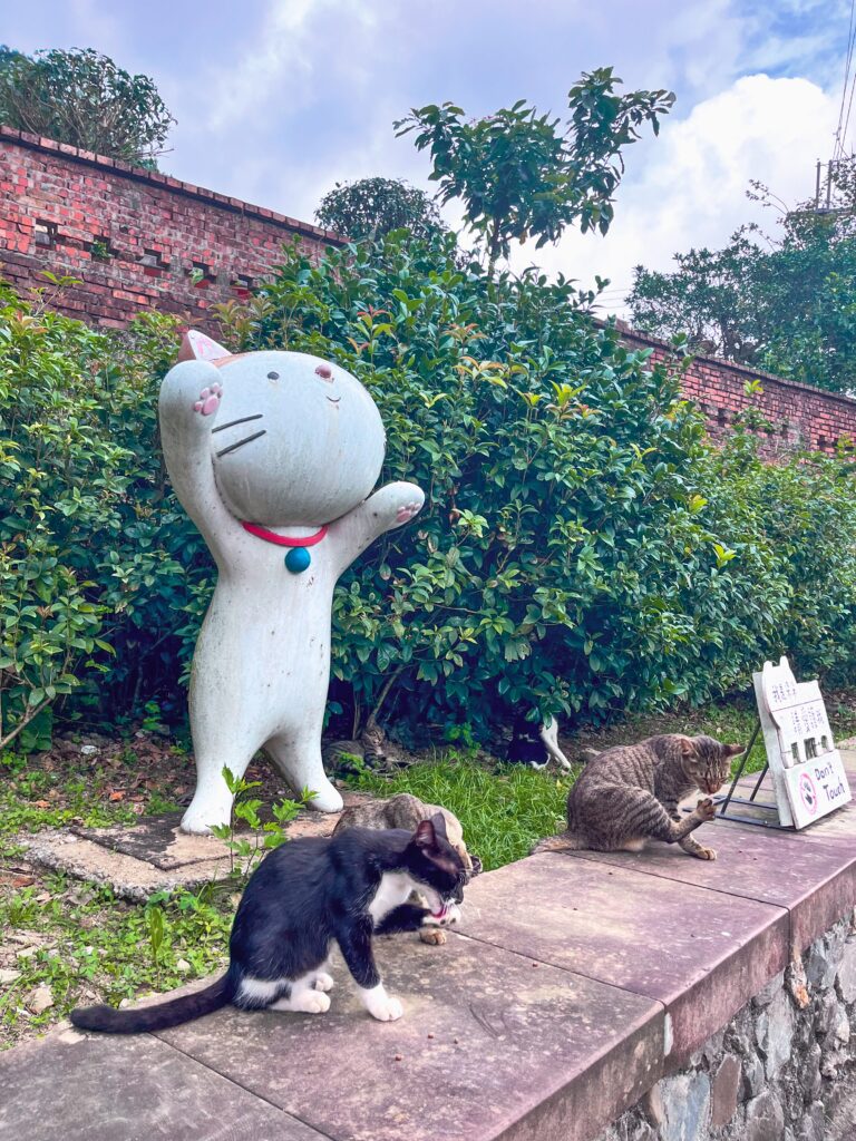 cats at HuoTong Cat Village, a charming village near Taipei