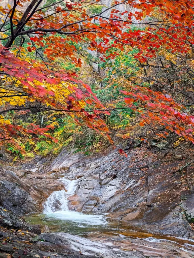 Beautiful fall foliage at Seoraksan National Park