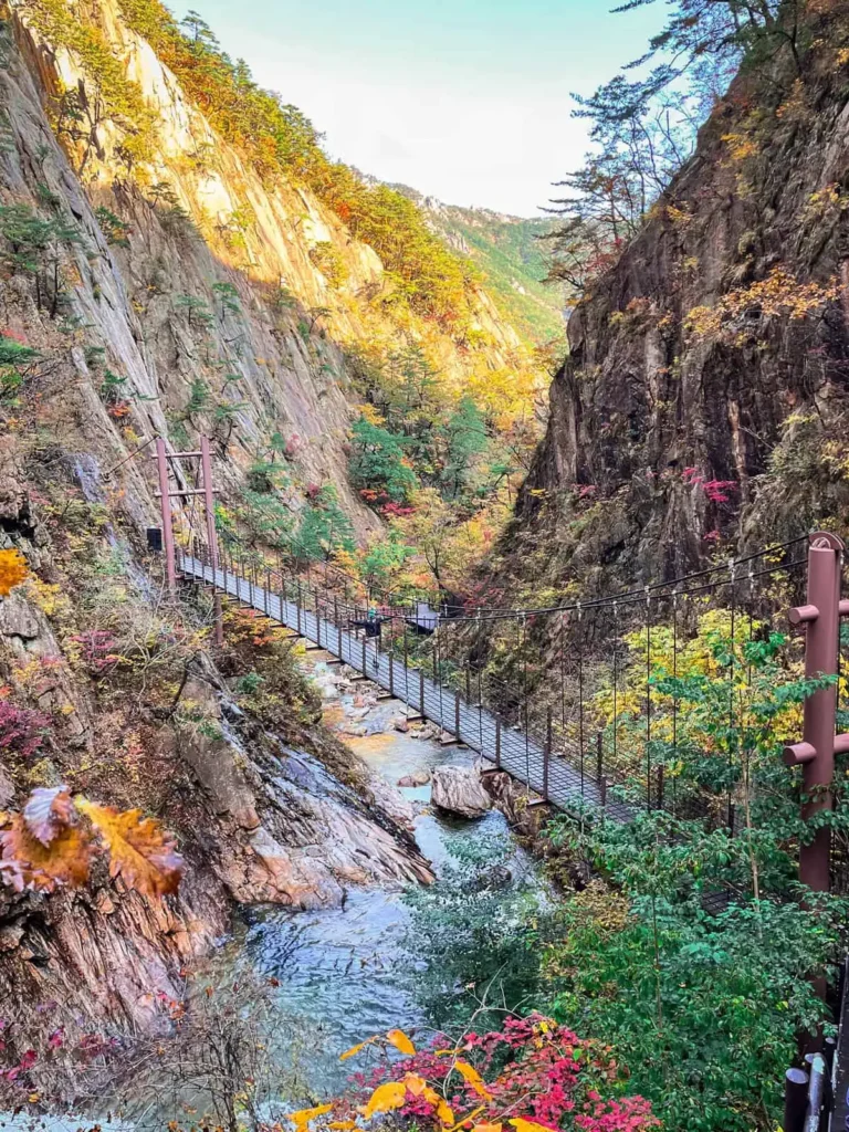 Seoraksan National Park bridge during the Autumn, with beautiful fall foliage